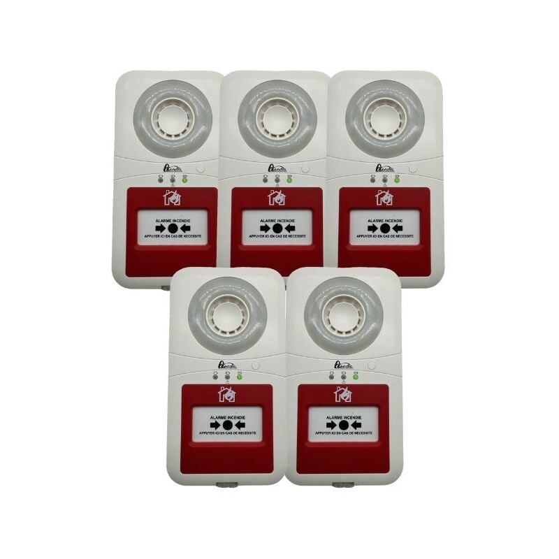Kit 5 alarmes type 4 autonome à pile