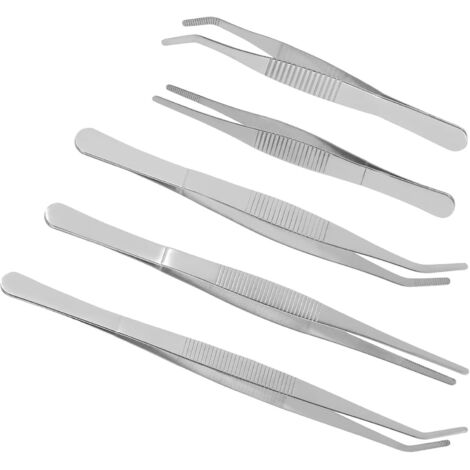 Kit 5 Pinces de Jardinage en Acier Inoxydable pour Plantes Succulentes, Outils Pratiques et Solide pour Jardinage de Bureau et Petites Plantes