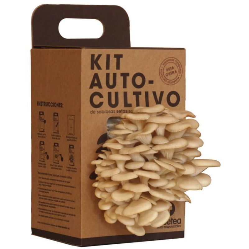 

Kit Autocultivo de seta ostra