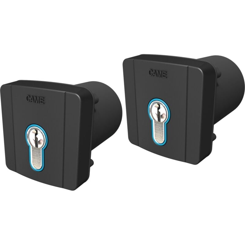 Paire de sélecteur à clé encastré SELD2K01, même clé din 8K06SL-005 - Came