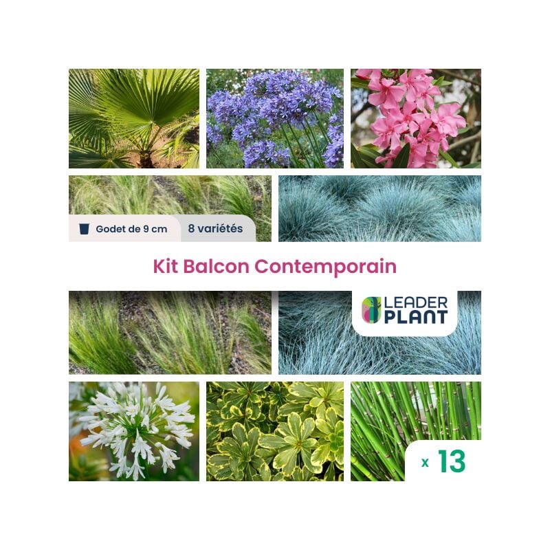 Leaderplantcom - Kit Balcon Contemporain - 8 variétés - lot de 13 godets