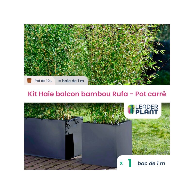Kit Bambou Fargesia Rufa en pot de 10L avec bac carré et les accessoires de plantation