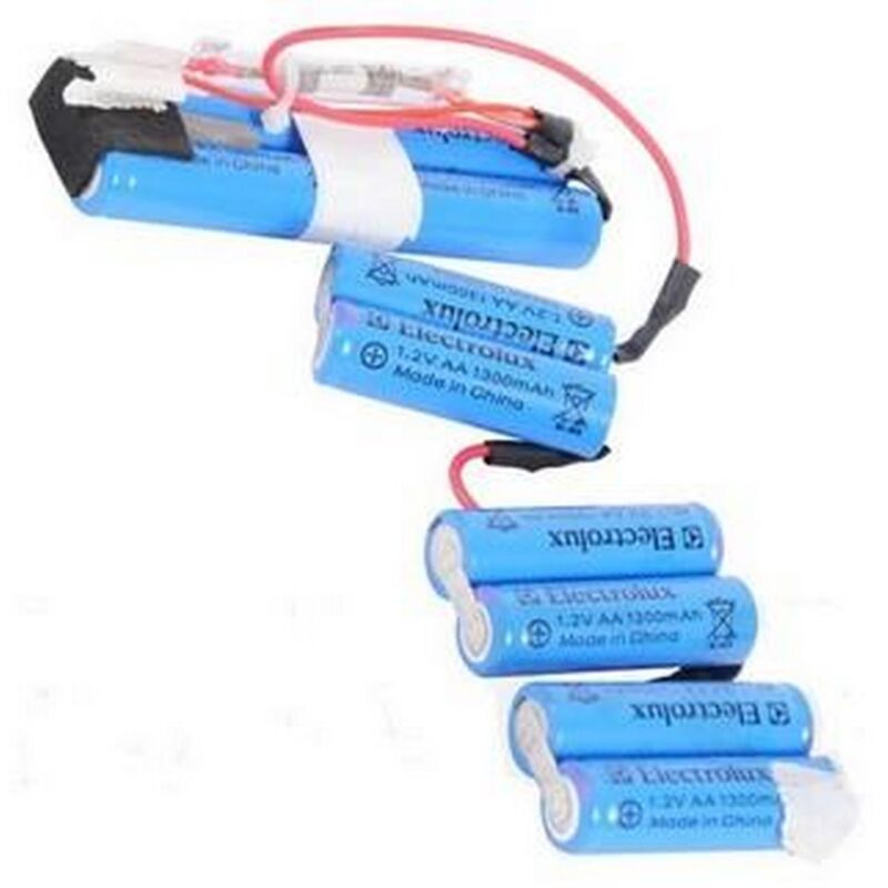 ELECTROLUX Batterie 12V (4055132304) Aspirateur  aeg
