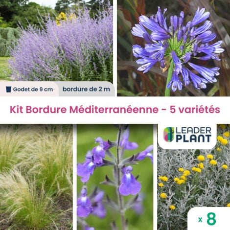 Kit Bordure Méditerranéenne - 5 variétés