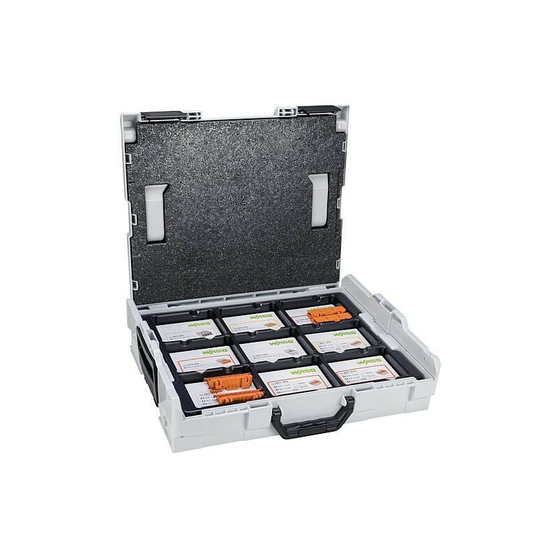 Kit Borne de connexion Wago 887-917