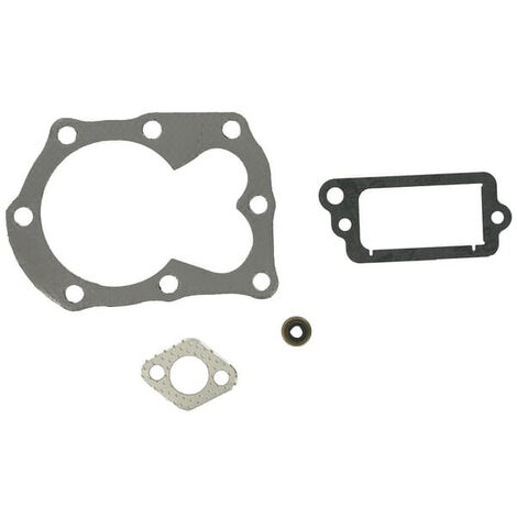 Kit BRIGGS ET STRATTON 498526