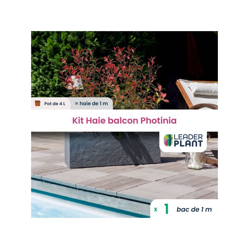 Kit Brise-vue Balcon Photinia