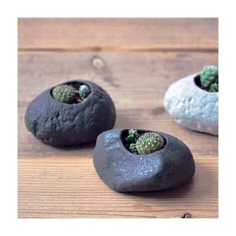 Kit Cactus pot en pierre