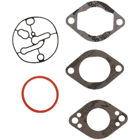 Kit carburateur Briggs et Stratton - 696146