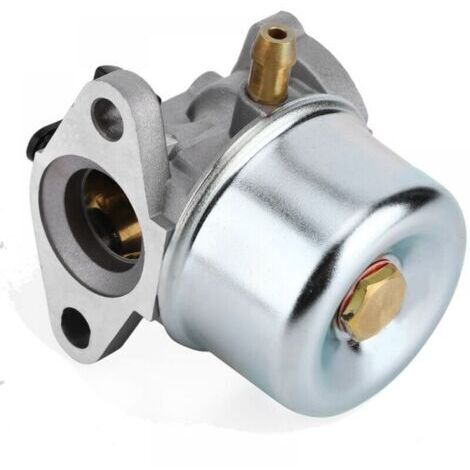Kit Carburateur Briggs & Stratton 799868 498254 497347 497314 498170 799872 - Joint Torique Inclus