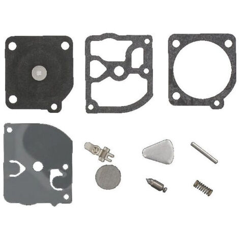 Kit carburateur GOPART RB50GP