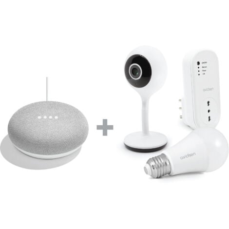 Kit casa intelligente ( Google mini )