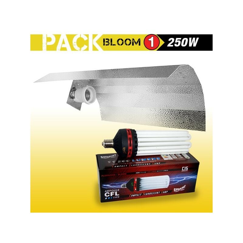 KIT lampe CFL 250W FLORAISON 1