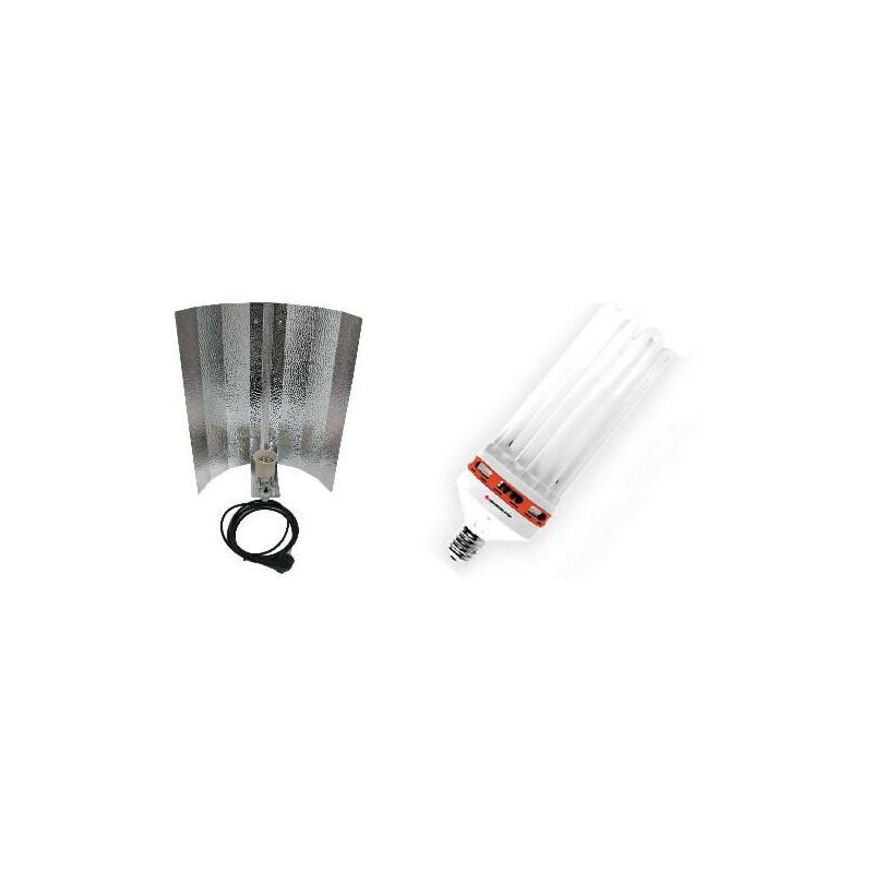 Kit lampe cfl 250W mixte 2