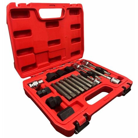 Kit Chiavi Smontaggio Montaggio Puleggia Alternatore Motore Auto Estrattore 18pz