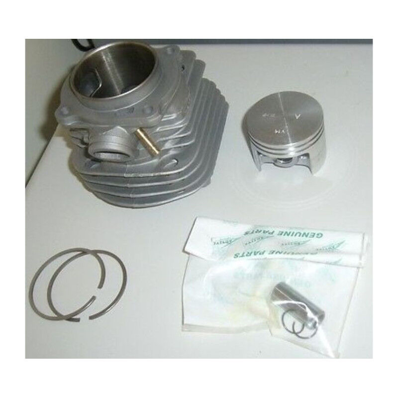 Kit Cilindro E Pistone Di Ricambio Per Motore Kawasaki TJ53 TJ53E - Compatibile Con Codici 11005-0650 / 11005-2166