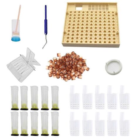 Kit complet d'élevage de reines abeilles, système de coupes et boîte de capture pour abeilles apicoles