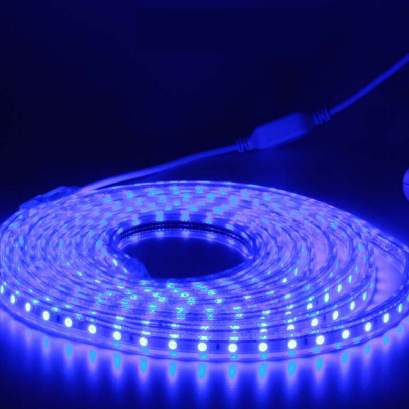 Kit complet ruban led 5 mètres 220V IP65 led avec prise,pas besoin de transfo - Lumière bleu