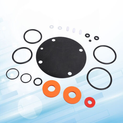 [Kit completo de reparación para juntas de goma] Dispositivo antirretorno Febco 825Y 905111, juego de 19 piezas