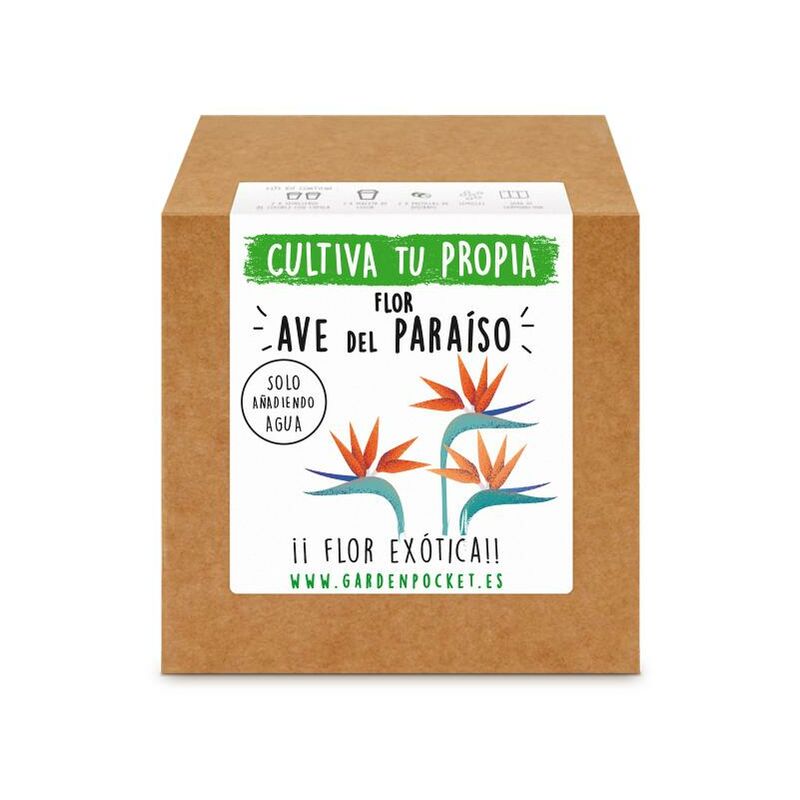 

Kit siembra Flor ave del paraíso - Garden Pocket