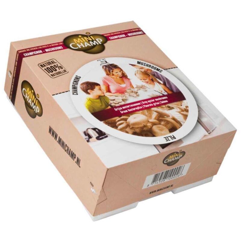 Kit culture pleurotes gris Minichamp 7.5 litres