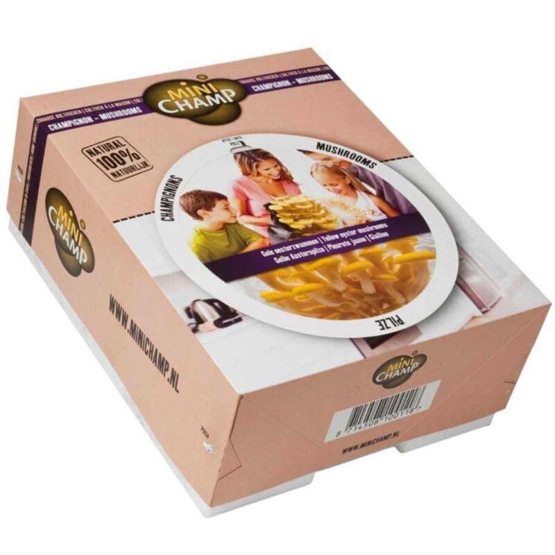 Kit culture pleurotes jaunes Minichamp 7.5 litres