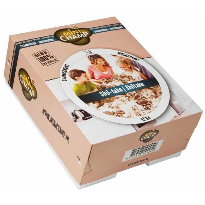 Kit culture Shii-take Minichamp 7.5 litres