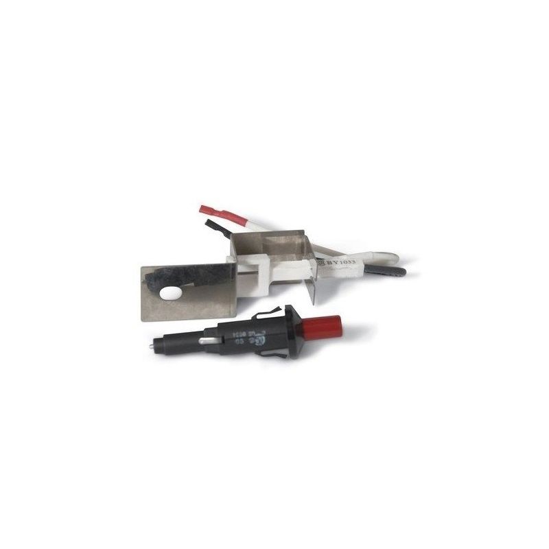 Kit d'allumage piezo barbecue à gaz Weber Q100200