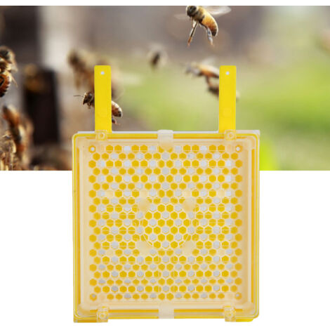 [Kit d'Apiculture] + System Kit + Box + Grafting : Boîte de Reine Bee avec 115 Cellules Grande & 115 Petite, 50 Supports, Cage, Pen (16.7 x 11.6 cm, Plastique)
