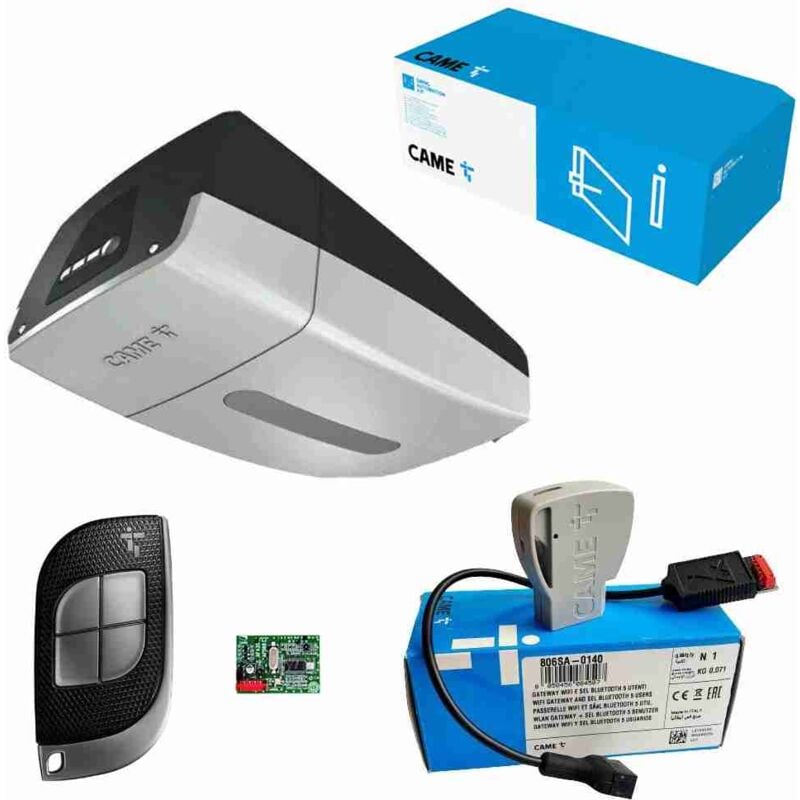 Kit d'automatisation ver 13 plus Came 8K01MV-026 VER13DMS Portes de garage sectionnelles Basculant