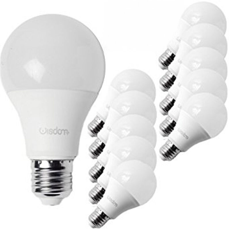 Kit De 10 Ampoules Led E27 12w Lumière Blanc Chaud Froid Classe A