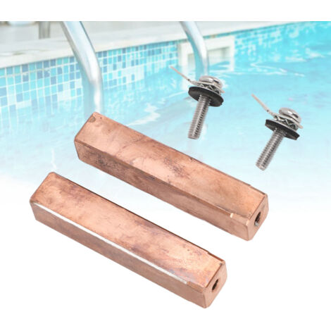 Kit de 2 Électrodes de Remplacement pour Ioniseur de Piscine Intérieure Compatible avec Systèmes d'Alimentation en Courant