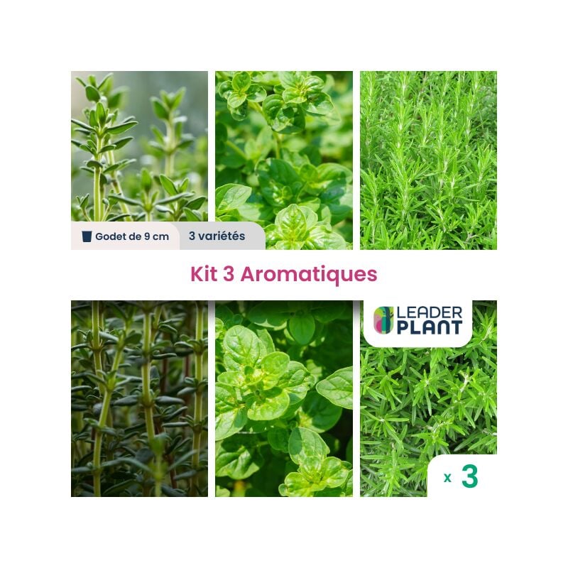 Kit de 3 Aromatiques