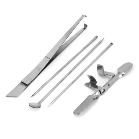 Kit de 5 couteaux à capon en acier inoxydable pour volailles, outil vétérinaire pour poulets
