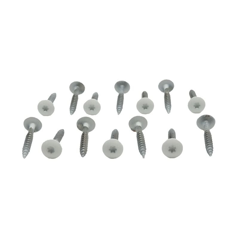 Kit de 50 vis 4,8 x 38 mm tork laquées pour bardage hpl - Coloris - Crème, Longueur de la vis - 38 mm