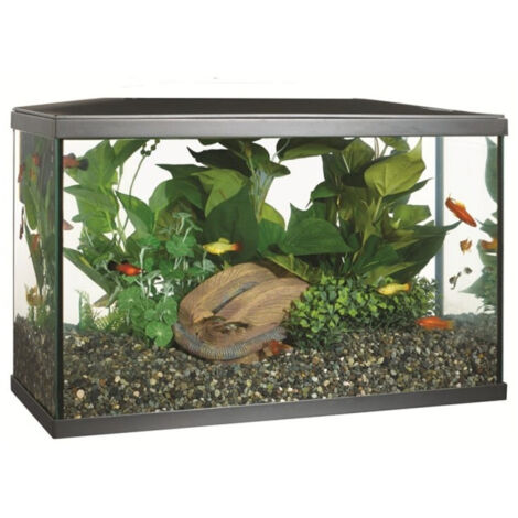 Kit de acuario con iluminación LED Marina