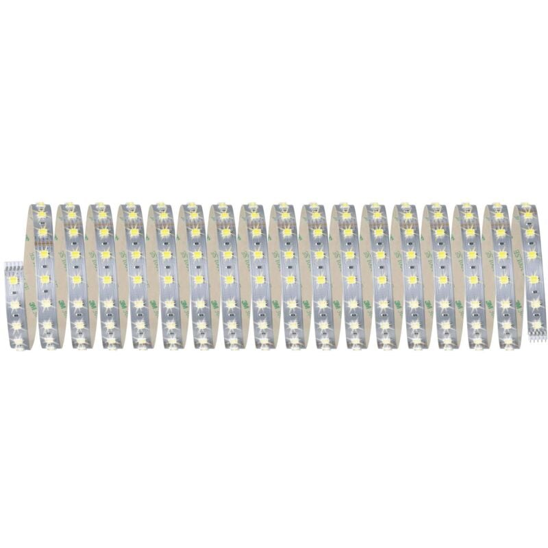 Paulmann MaxLED 70565 Ruban led avec connecteur mâle 24 v 10 m blanc chaud, blanc neutre, blanc lumière du jour 1 pc(s) Q718142
