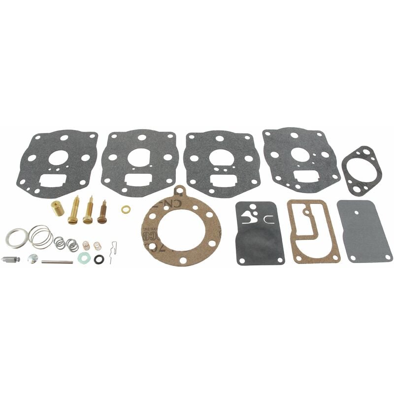 Kit de carburateur BRIGGS ET STRATTON 694056 - 394502 - 491539