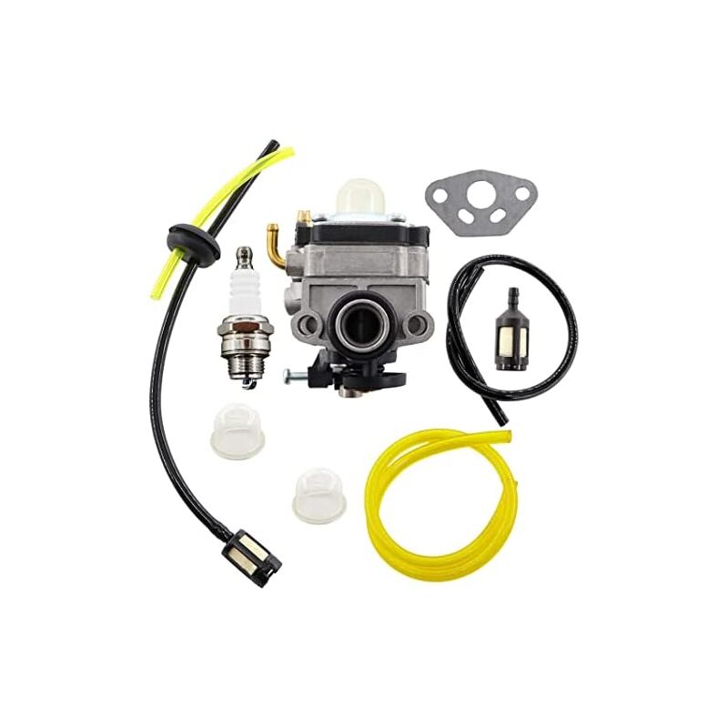 Kit de Carburateur pour Hitachi RB24EA RB24EA (S) RB24EAP 23.9cc Souffleurs Carb 6698373