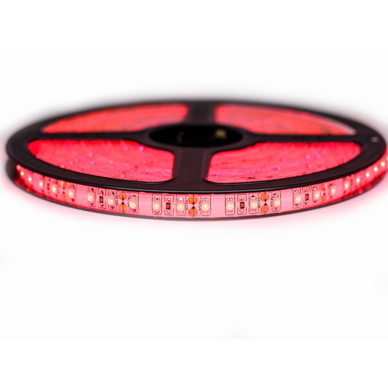 

Kit de cinta profesional 3528 - 120 leds/m - 5 metros rojo anti-salpicaduras (IP65) | Longitud: 5 metros - Transformador: Fuente de alimentación