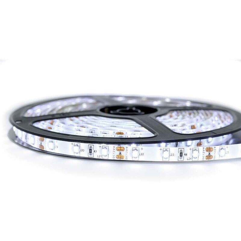 

Kit de cinta profesional 3528 - 60 leds/m - 1m, 2.5m, 5 o 10 metros a elegir - Blanco frío a prueba de salpicaduras (IP65) | Longitud: 5 metros
