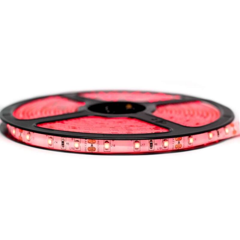

Kit de cinta profesional 3528 - 60 leds/m - 1m, 2.5m, 5 o 10 metros a elegir - Rojo a prueba de salpicaduras (IP65) | Longitud: 5 metros