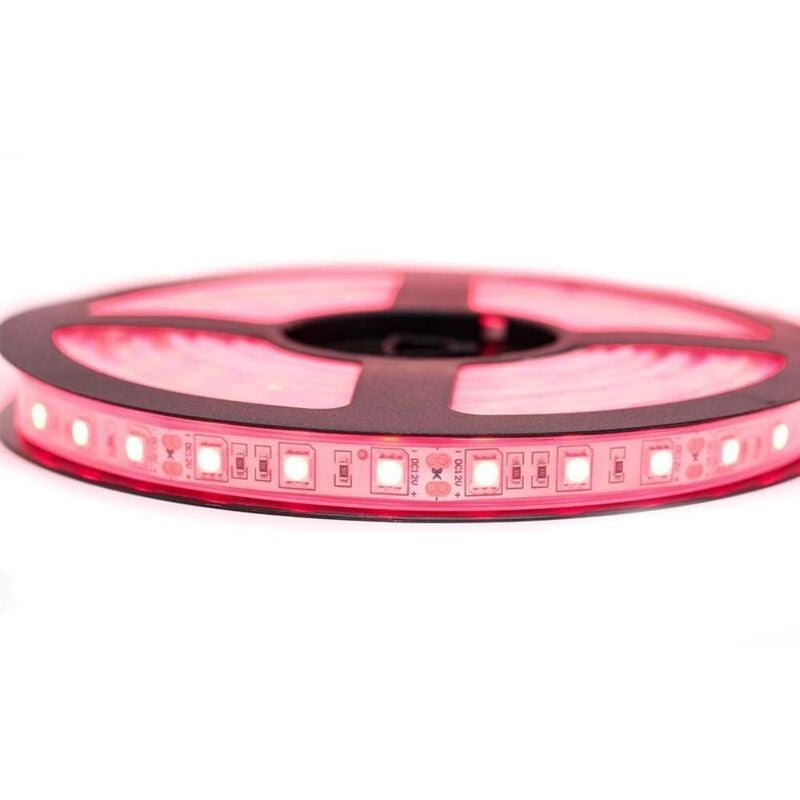 

Kit de cinta profesional 5050 - 60 leds/m - 5 metros rojo impermeable (IP67) | Longitud: 5 metros - Transformador: No se incluye la fuente de