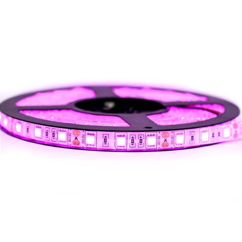 

Kit de cinta profesional 5050 - 60 leds/m - 5 metros rosa anti-salpicaduras (IP65) | Longitud: 5 metros - Transformador: No se incluye la fuente de
