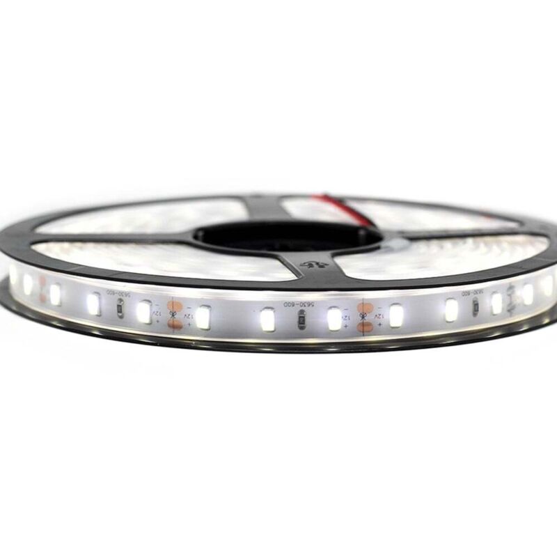 

Kit de cinta profesional 5630 - 60 leds/m - 5 metros Blanco frío impermeable (IP67) | Longitud: 5 metros - Transformador: Fuente de alimentación