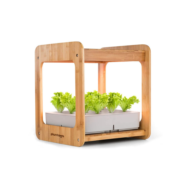 

Plantawa Kit de Cultivo Hidropónico Huerto Urbano Automático para Interior Ecológico