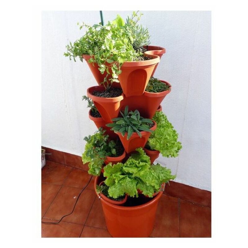 

Kit de Cultivo Hidropónico Irisana Ecogarden EG10 Plástico Terracota