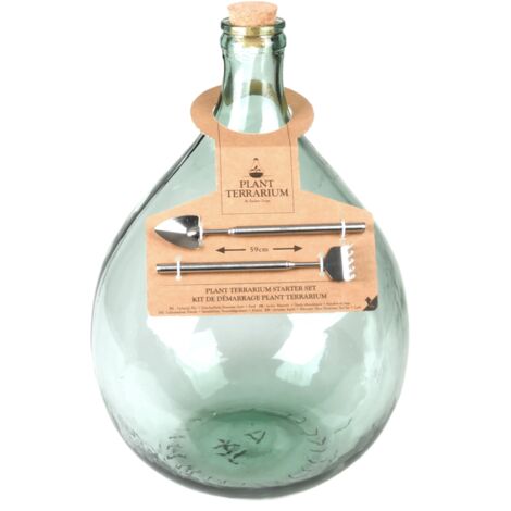 Kit de démarrage pour plante en terrarium en verre et inox - 15L - D 30,3 x H 44,4 cm - Livraison gratuite