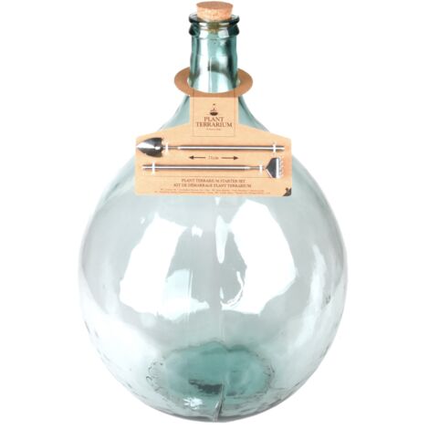 Kit de démarrage pour plante en terrarium en verre et inox - 50L - D 45,7 x H 68,8 cm - Livraison gratuite