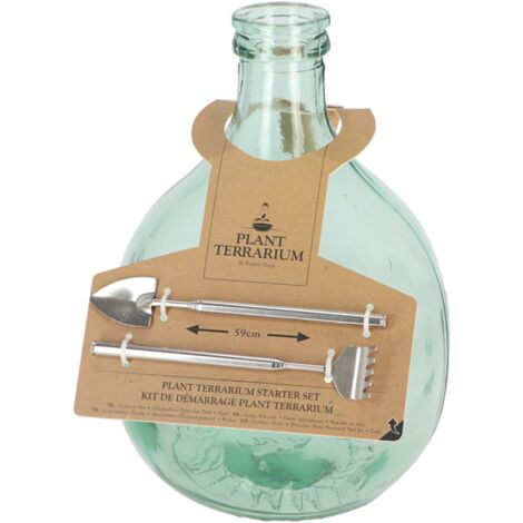 Kit de démarrage pour plante en terrarium en verre et inox - 5L - D 21,2 x H 33,1 cm - Livraison gratuite